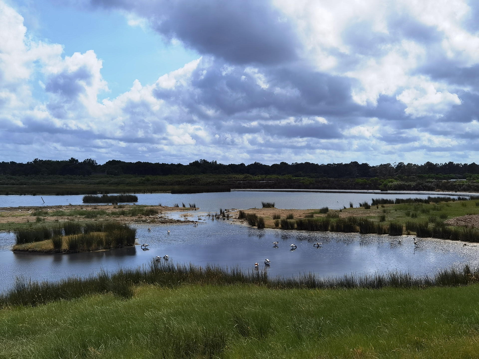 ル・テッシュ鳥類保護区