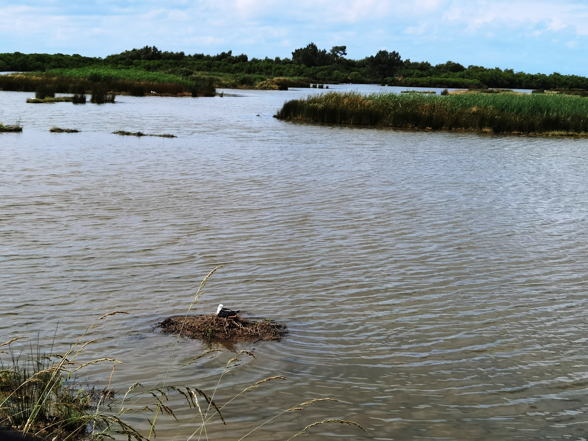 ル・テッシュ鳥類保護区