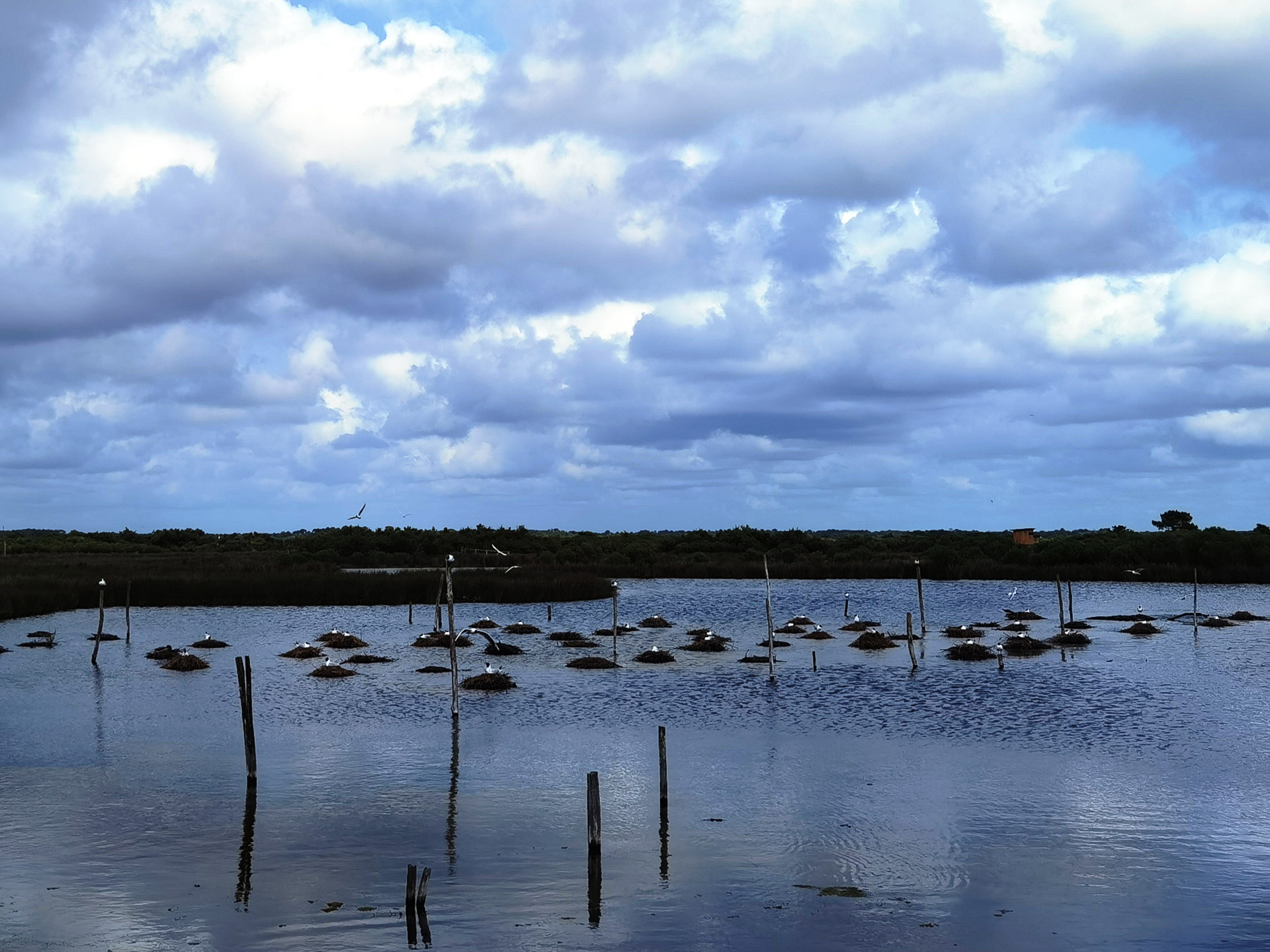 ル・テッシュ鳥類保護区
