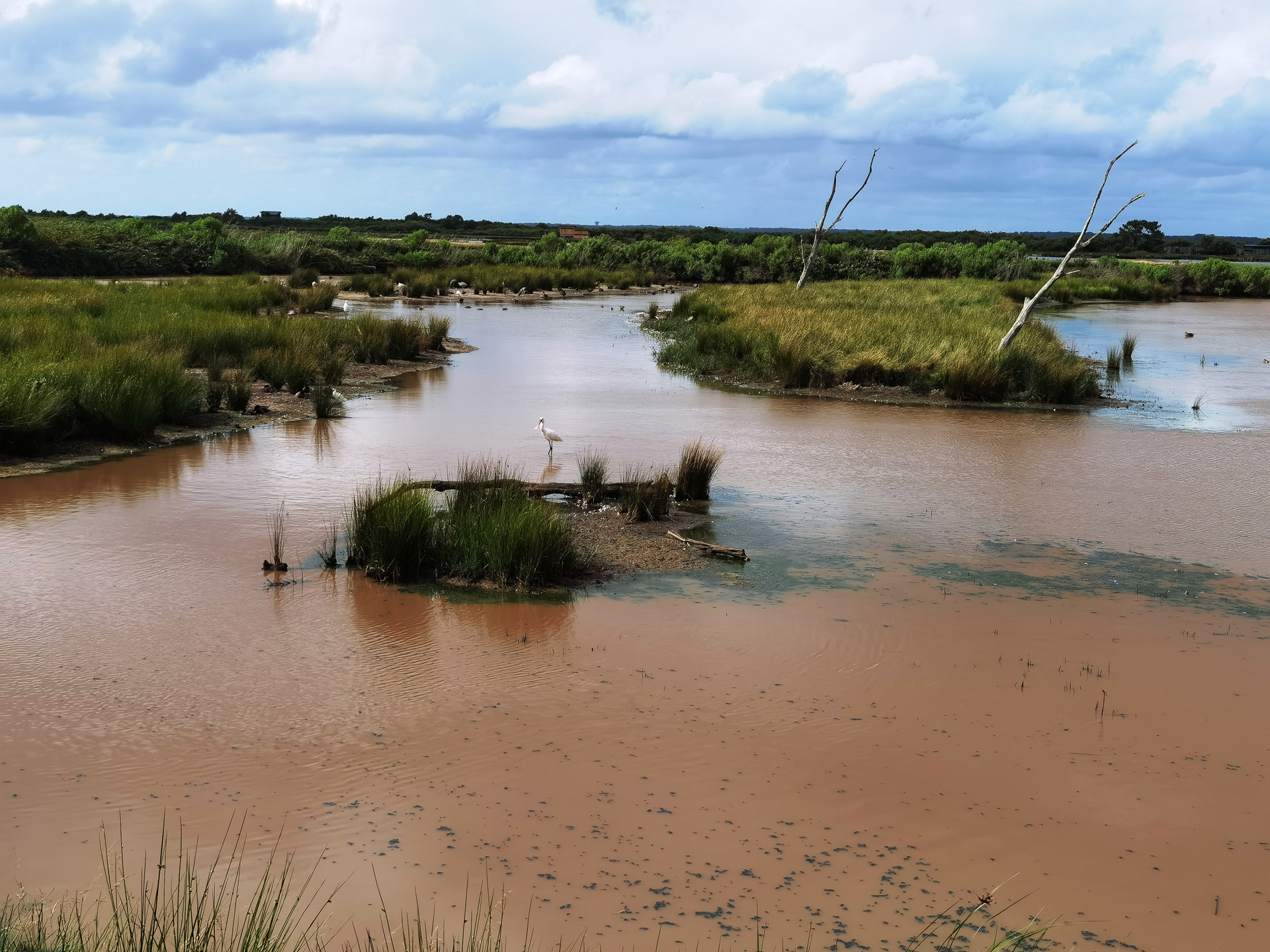ル・テッシュ鳥類保護区