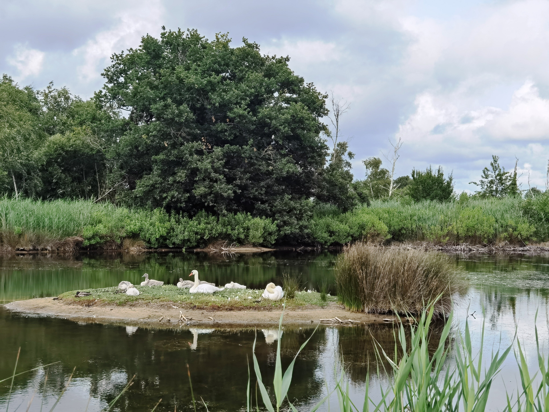 ル・テッシュ鳥類保護区