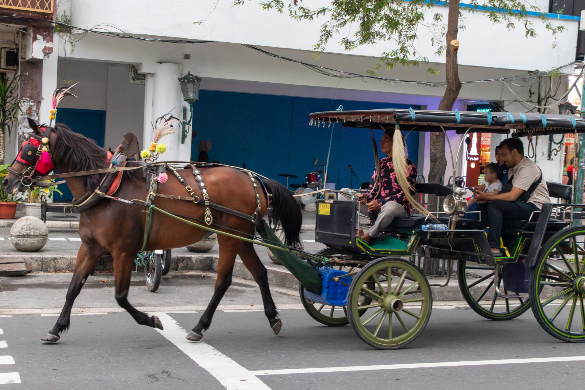 いたるところで馬車に遭遇する