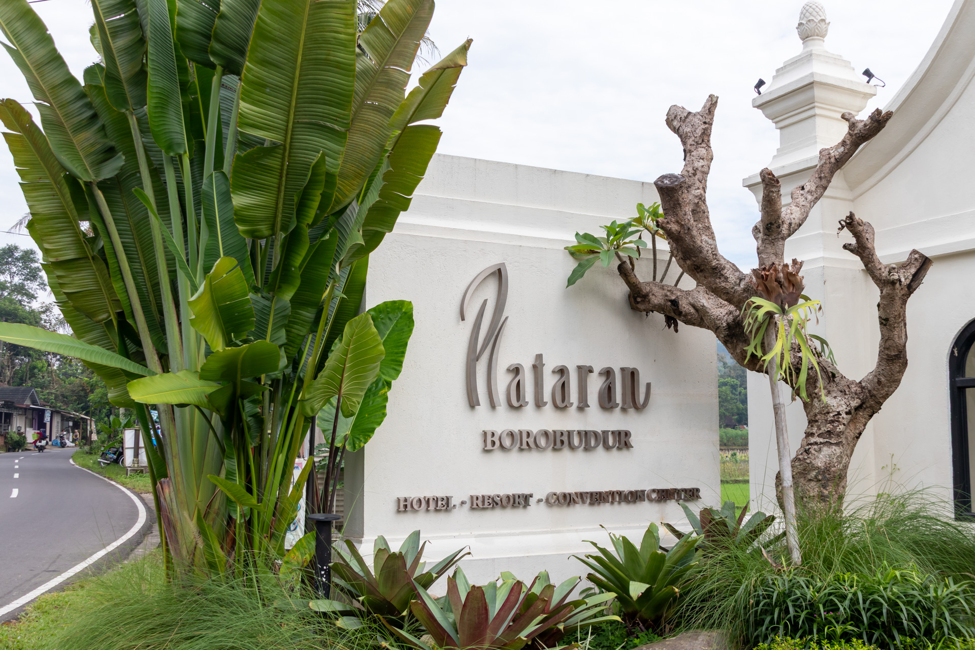 木々を思わせるようなプラタランのロゴ