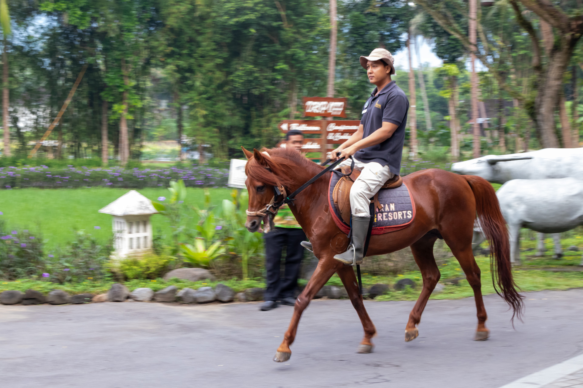 お馬さんもいた