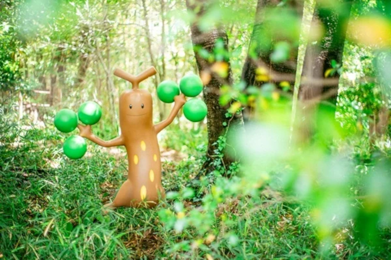 たくさんのポケモンたちが暮らす自然豊かな森「ポケモンフォレスト」