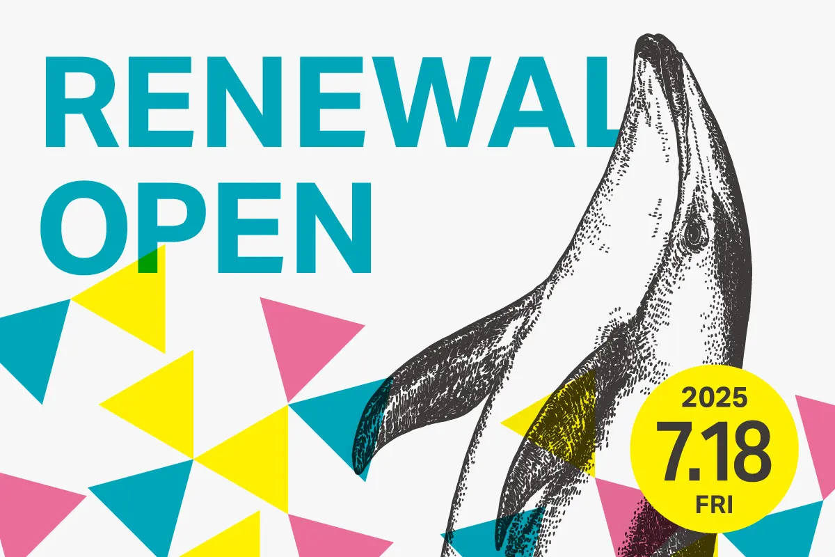 リニューアル工事が完成した