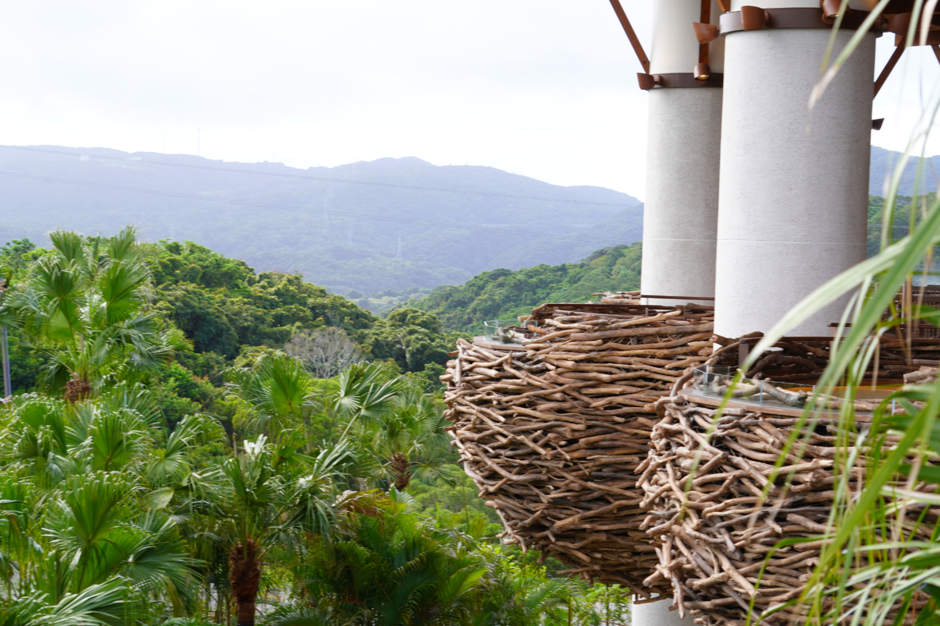 「パノラマダイニング」ではパークを一望しながら沖縄県産食材をふんだんに使った料理が味わえる。シグネチャーメニューは肉汁たっぷりのジャングリアハンバーグ