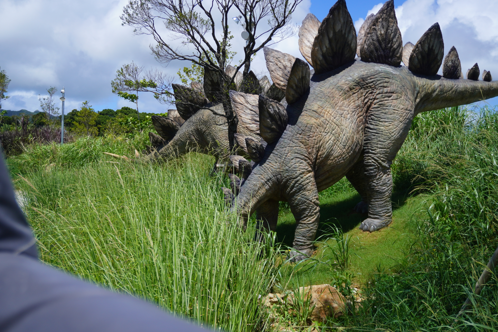 「ダイナソーサファリ」はオフロード車で駆け巡るジャングルツアー。次々と現われる恐竜に遭遇し、クライマックスはT-REXから逃れるため急勾配や池を猛スピードで爆走。途中でブラキオサウルスの股下を通り抜けることろでは滝のようなオシッコをかけられてしまうので要注意。無事に帰着すると、捕獲されたT-REXとの記念撮影タイムも