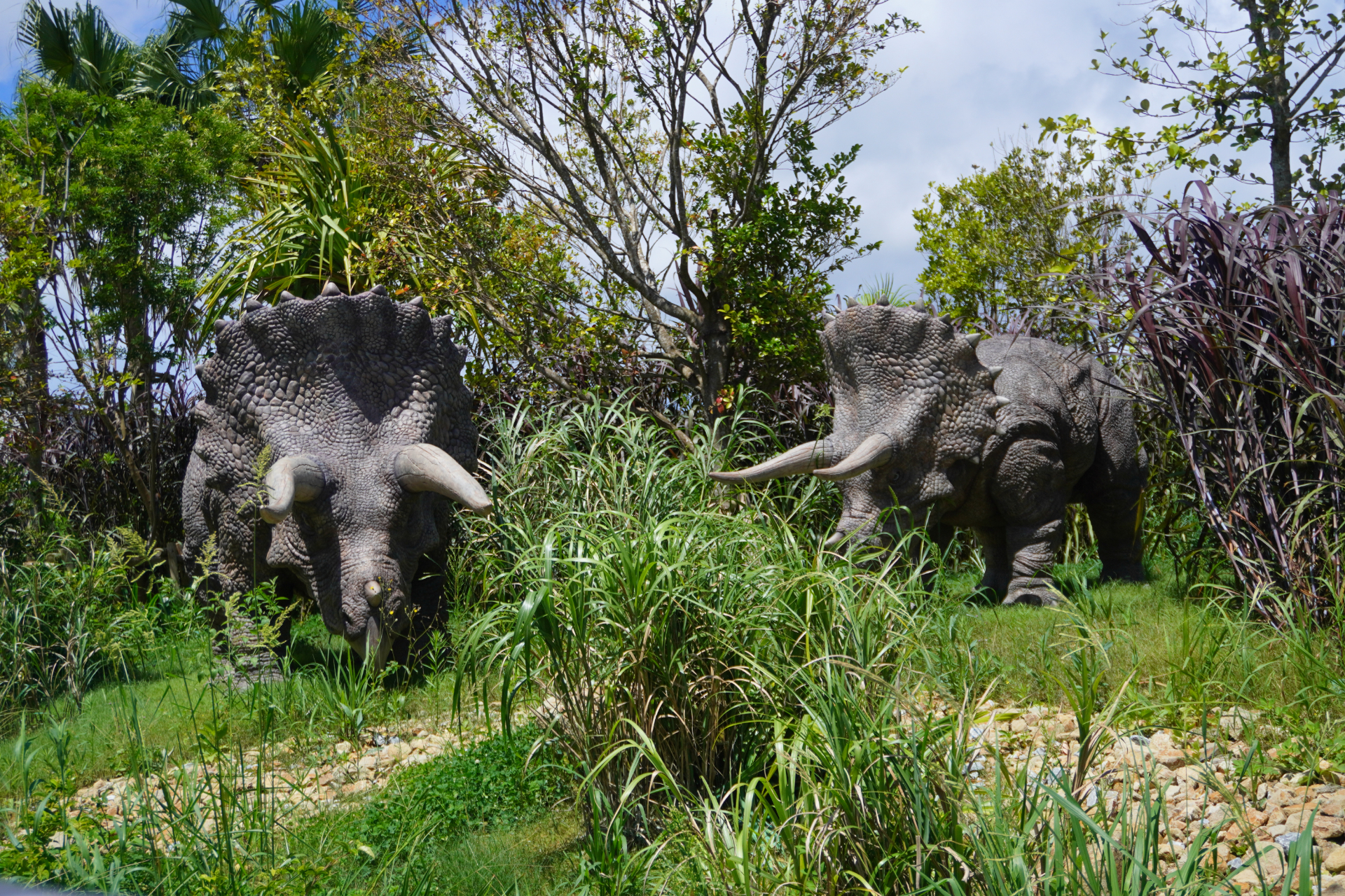 「ダイナソーサファリ」はオフロード車で駆け巡るジャングルツアー。次々と現われる恐竜に遭遇し、クライマックスはT-REXから逃れるため急勾配や池を猛スピードで爆走。途中でブラキオサウルスの股下を通り抜けることろでは滝のようなオシッコをかけられてしまうので要注意。無事に帰着すると、捕獲されたT-REXとの記念撮影タイムも