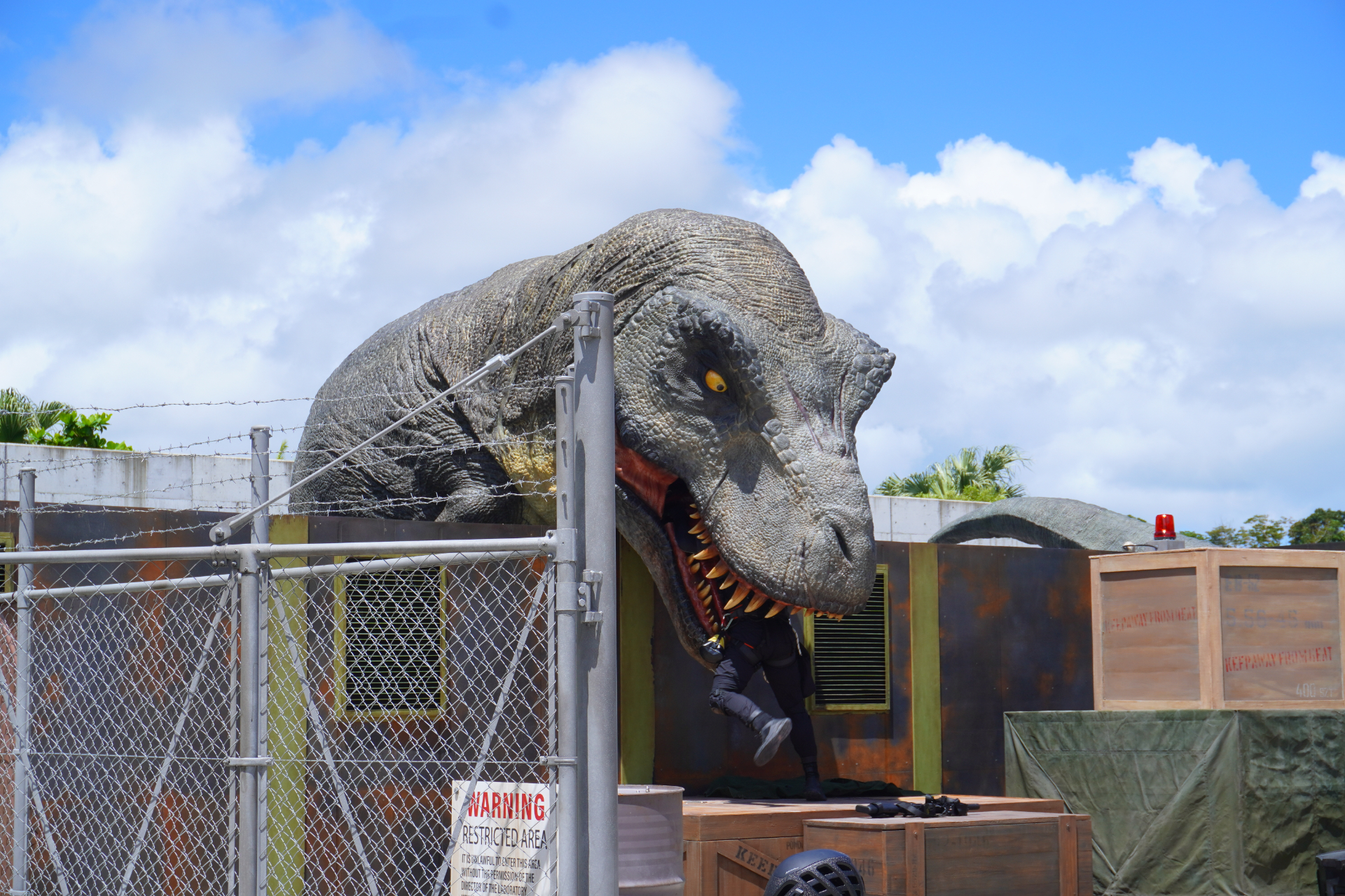 「ダイナソーサファリ」はオフロード車で駆け巡るジャングルツアー。次々と現われる恐竜に遭遇し、クライマックスはT-REXから逃れるため急勾配や池を猛スピードで爆走。途中でブラキオサウルスの股下を通り抜けることろでは滝のようなオシッコをかけられてしまうので要注意。無事に帰着すると、捕獲されたT-REXとの記念撮影タイムも