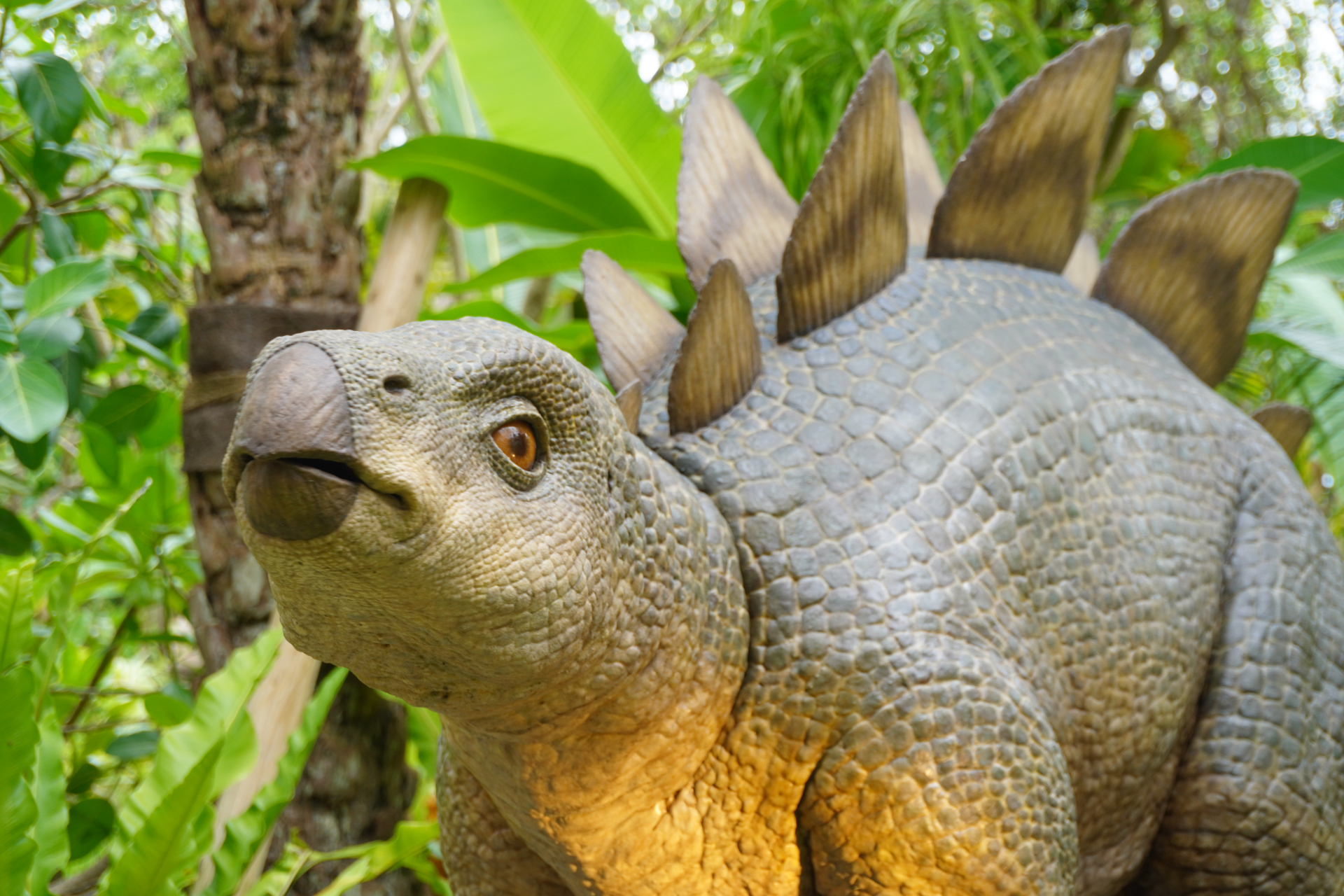 「ファインディングダイナソー」は、迷子になった恐竜の赤ちゃんを探すジャングルツアー。途中にはトロッコや吊り橋もあり、クライマックスは狭い洞窟の中へ。そこで見られる感動の光景は、ぜひパークに来場して体験を。ツアーの最後には参加者特典のステッカーシールがもらえ、動く恐竜との記念撮影も楽しめる