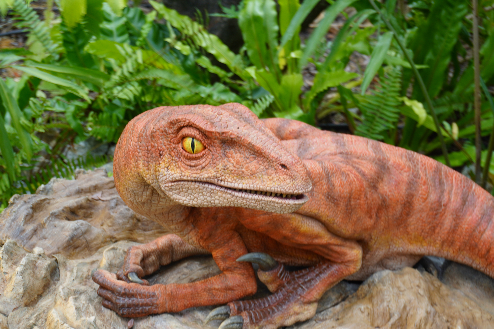 「ファインディングダイナソー」は、迷子になった恐竜の赤ちゃんを探すジャングルツアー。途中にはトロッコや吊り橋もあり、クライマックスは狭い洞窟の中へ。そこで見られる感動の光景は、ぜひパークに来場して体験を。ツアーの最後には参加者特典のステッカーシールがもらえ、動く恐竜との記念撮影も楽しめる