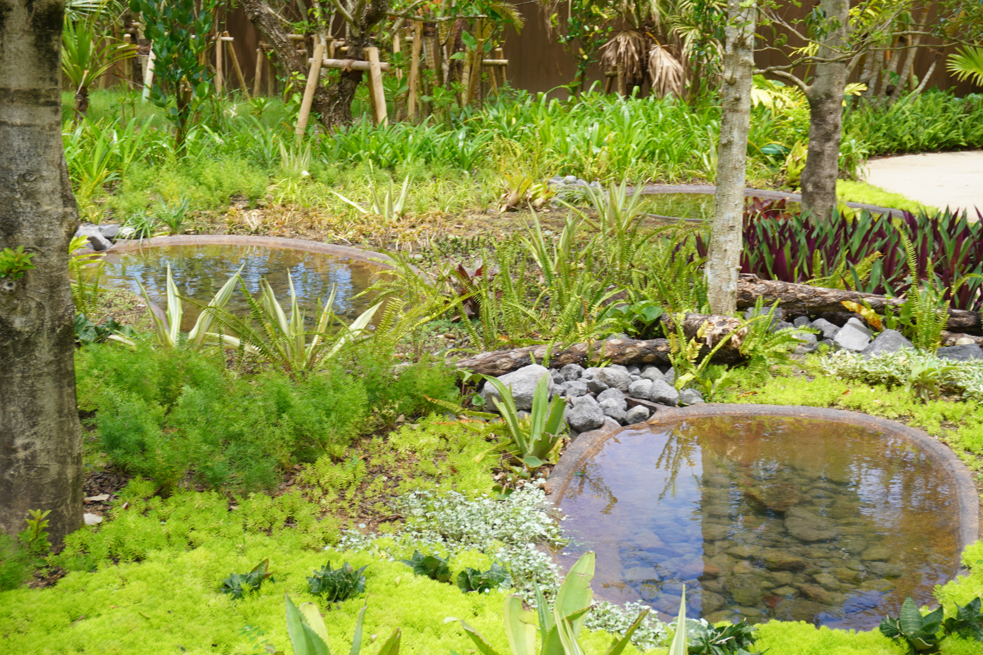 「ファインディングダイナソー」は、迷子になった恐竜の赤ちゃんを探すジャングルツアー。途中にはトロッコや吊り橋もあり、クライマックスは狭い洞窟の中へ。そこで見られる感動の光景は、ぜひパークに来場して体験を。ツアーの最後には参加者特典のステッカーシールがもらえ、動く恐竜との記念撮影も楽しめる