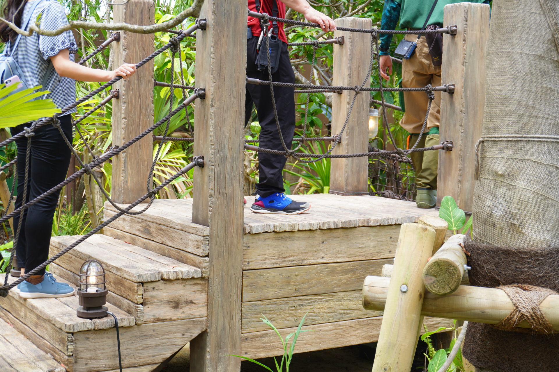 「ファインディングダイナソー」は、迷子になった恐竜の赤ちゃんを探すジャングルツアー。途中にはトロッコや吊り橋もあり、クライマックスは狭い洞窟の中へ。そこで見られる感動の光景は、ぜひパークに来場して体験を。ツアーの最後には参加者特典のステッカーシールがもらえ、動く恐竜との記念撮影も楽しめる