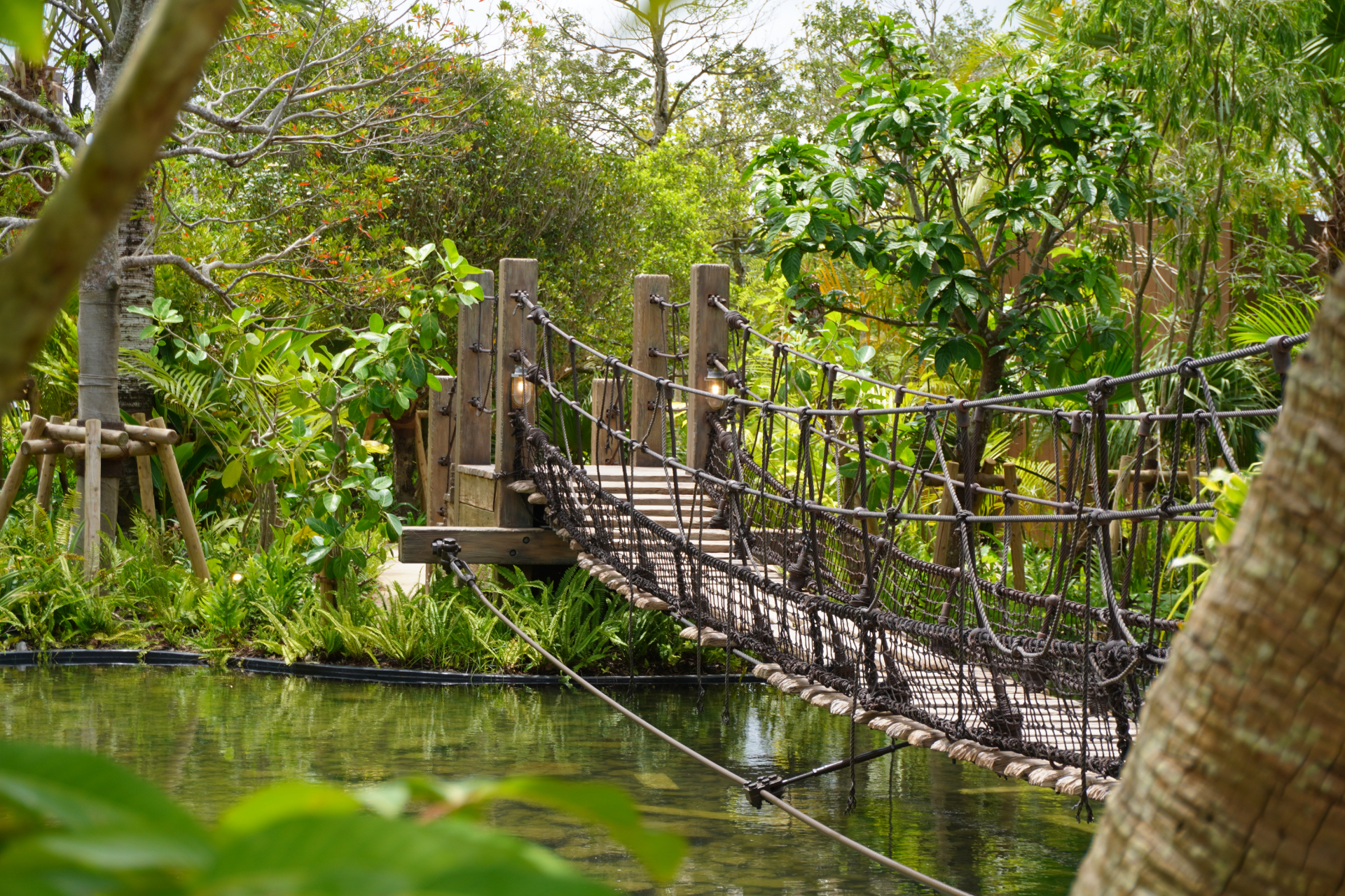 「ファインディングダイナソー」は、迷子になった恐竜の赤ちゃんを探すジャングルツアー。途中にはトロッコや吊り橋もあり、クライマックスは狭い洞窟の中へ。そこで見られる感動の光景は、ぜひパークに来場して体験を。ツアーの最後には参加者特典のステッカーシールがもらえ、動く恐竜との記念撮影も楽しめる