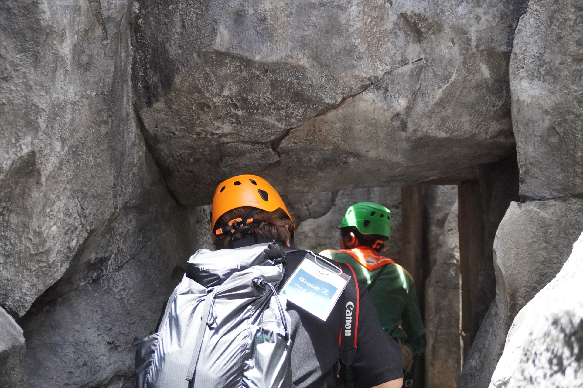 「ファインディングダイナソー」は、迷子になった恐竜の赤ちゃんを探すジャングルツアー。途中にはトロッコや吊り橋もあり、クライマックスは狭い洞窟の中へ。そこで見られる感動の光景は、ぜひパークに来場して体験を。ツアーの最後には参加者特典のステッカーシールがもらえ、動く恐竜との記念撮影も楽しめる