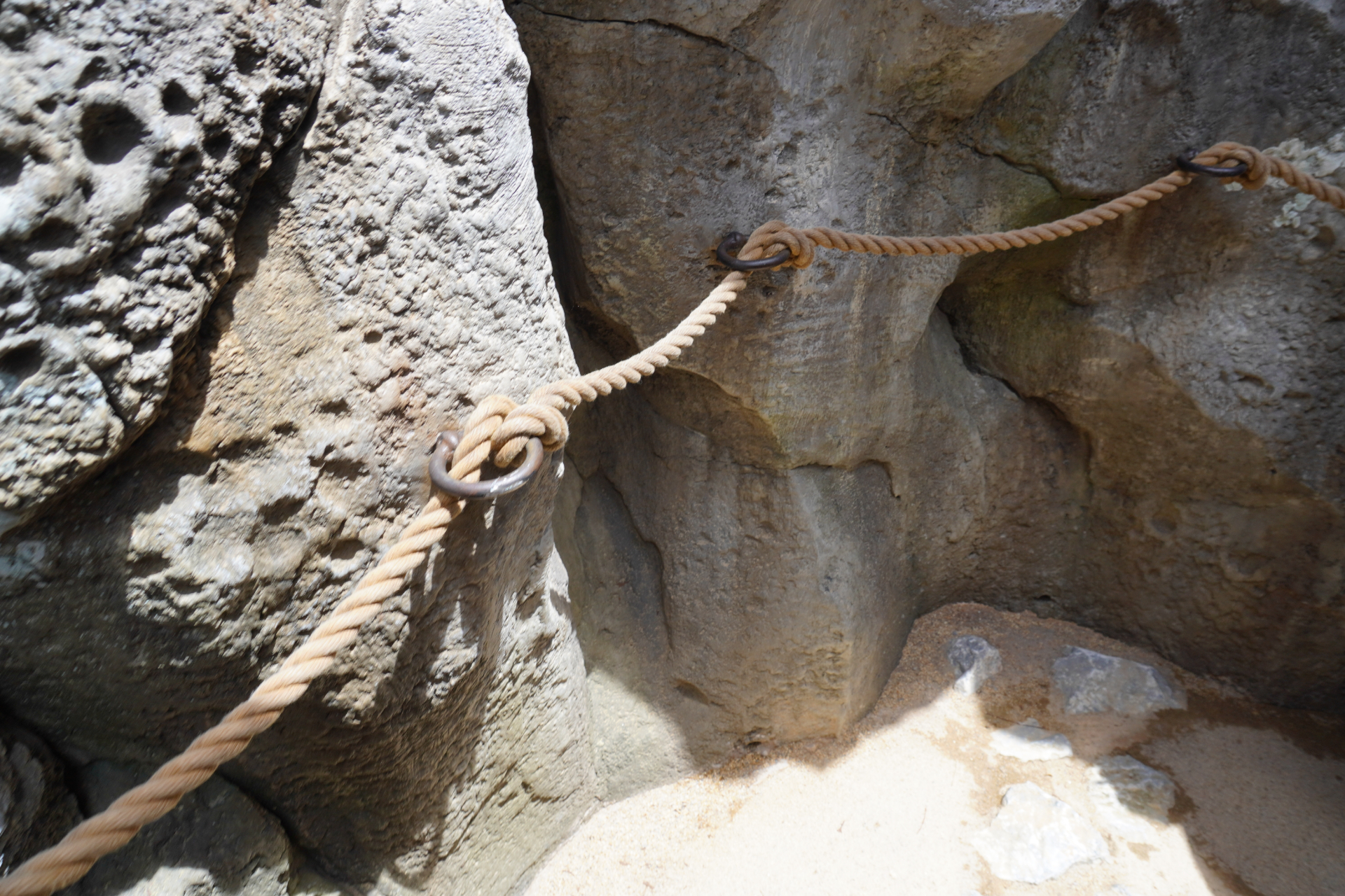 「ファインディングダイナソー」は、迷子になった恐竜の赤ちゃんを探すジャングルツアー。途中にはトロッコや吊り橋もあり、クライマックスは狭い洞窟の中へ。そこで見られる感動の光景は、ぜひパークに来場して体験を。ツアーの最後には参加者特典のステッカーシールがもらえ、動く恐竜との記念撮影も楽しめる