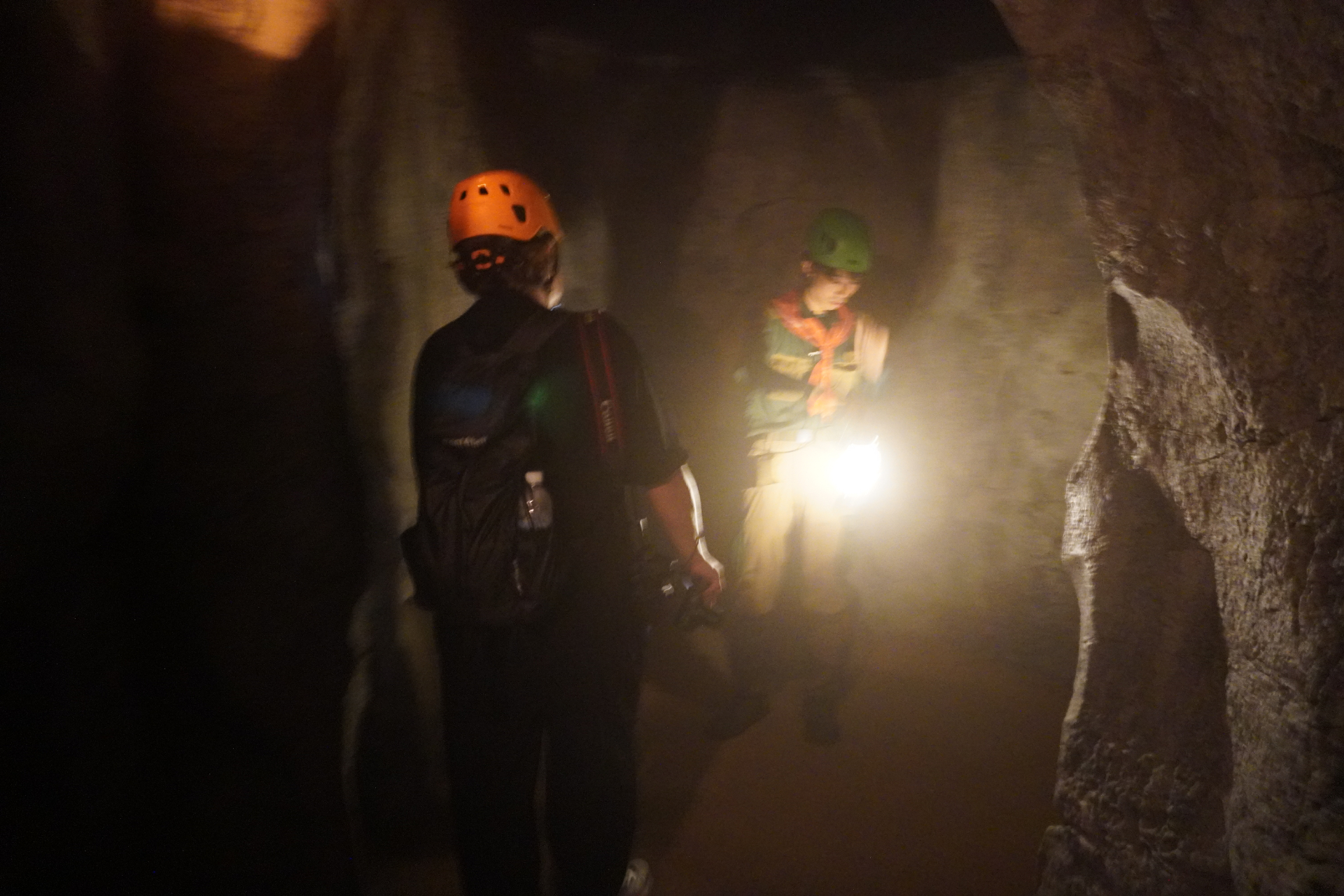 「ファインディングダイナソー」は、迷子になった恐竜の赤ちゃんを探すジャングルツアー。途中にはトロッコや吊り橋もあり、クライマックスは狭い洞窟の中へ。そこで見られる感動の光景は、ぜひパークに来場して体験を。ツアーの最後には参加者特典のステッカーシールがもらえ、動く恐竜との記念撮影も楽しめる