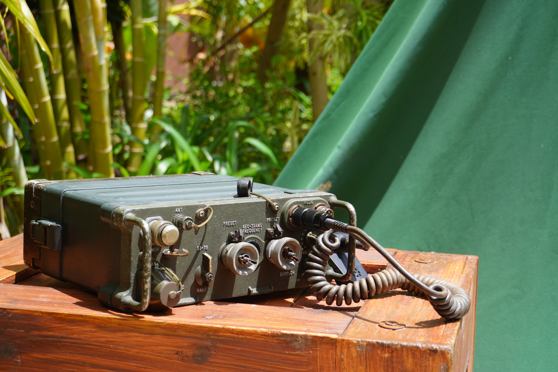 「ファインディングダイナソー」は、迷子になった恐竜の赤ちゃんを探すジャングルツアー。途中にはトロッコや吊り橋もあり、クライマックスは狭い洞窟の中へ。そこで見られる感動の光景は、ぜひパークに来場して体験を。ツアーの最後には参加者特典のステッカーシールがもらえ、動く恐竜との記念撮影も楽しめる