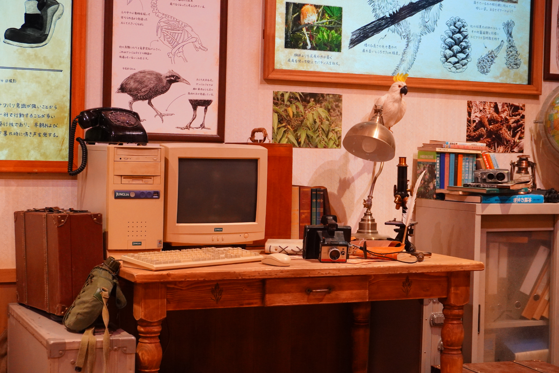 屋内シアター型アトラクション「やんばるフレンズ」。プレショーでは研究所のような空間でやんばるの森の生態について学びつつ、動くはずのない絵が生き物のようにはしゃぎだし……。メインシアターへ移動すると、ヤンバルクイナの「ジャン」と守り神のシーサー「シン」が登場し、ゲストとの会話や問答を繰り広げる。突然雨が振り出して濡れちゃうかも？