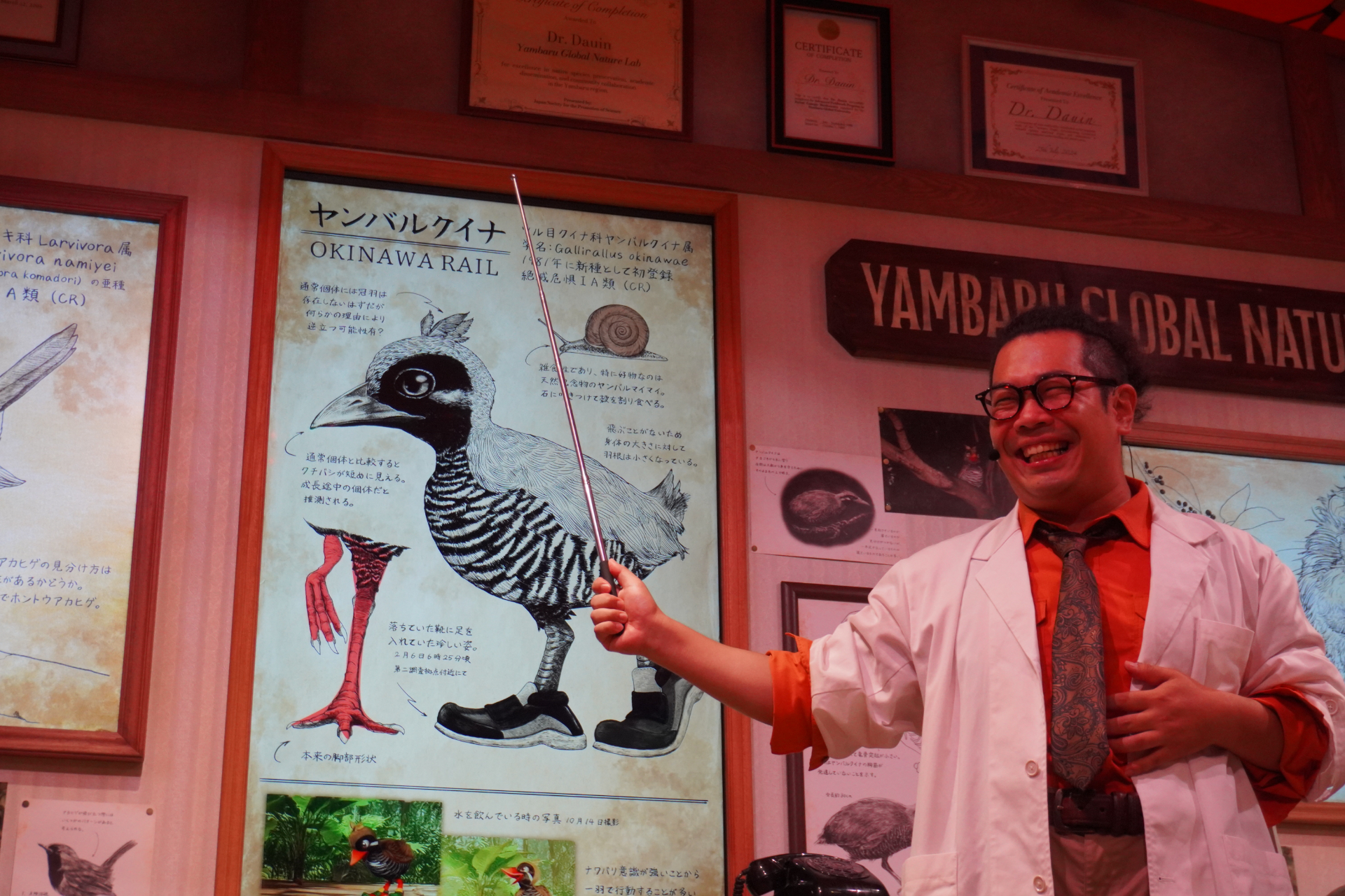 屋内シアター型アトラクション「やんばるフレンズ」。プレショーでは研究所のような空間でやんばるの森の生態について学びつつ、動くはずのない絵が生き物のようにはしゃぎだし……。メインシアターへ移動すると、ヤンバルクイナの「ジャン」と守り神のシーサー「シン」が登場し、ゲストとの会話や問答を繰り広げる。突然雨が振り出して濡れちゃうかも？