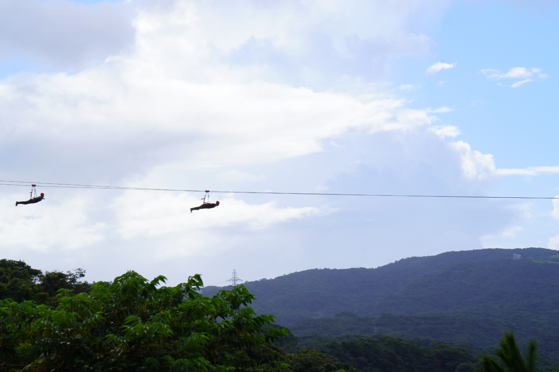 「スカイフェニックス」は約20mの高さから、森に向かって約280m滑走するジップライン。まさに鳥のような気分で爽快感を味わえる
