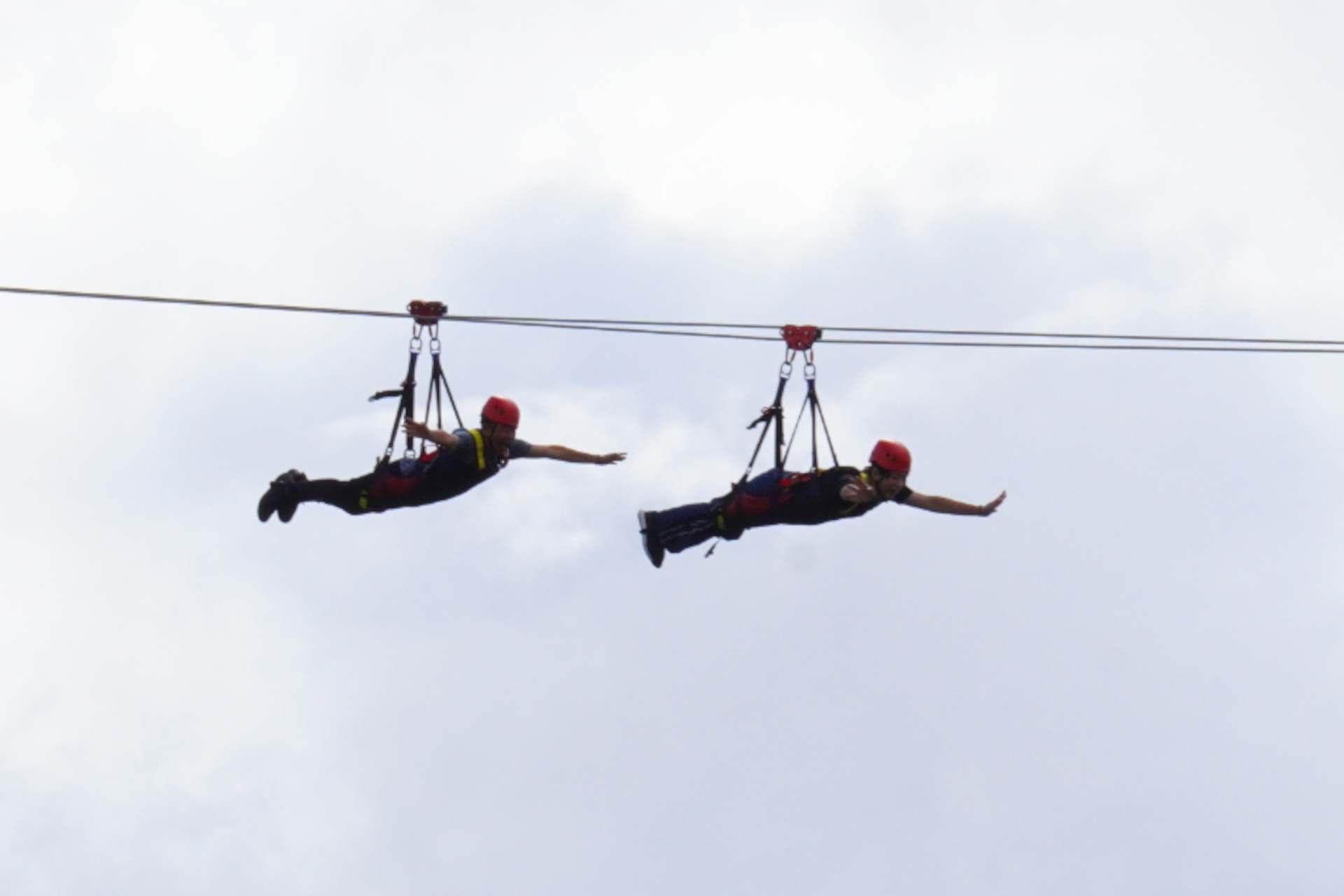 「スカイフェニックス」は約20mの高さから、森に向かって約280m滑走するジップライン。まさに鳥のような気分で爽快感を味わえる