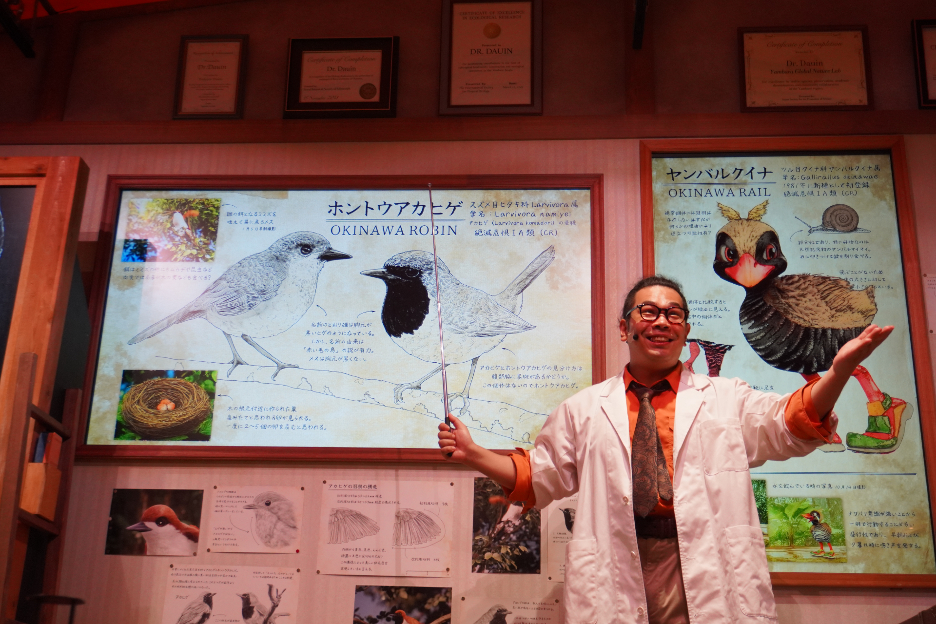 屋内シアター型アトラクション「やんばるフレンズ」。プレショーでは研究所のような空間でやんばるの森の生態について学びつつ、動くはずのない絵が生き物のようにはしゃぎだし……