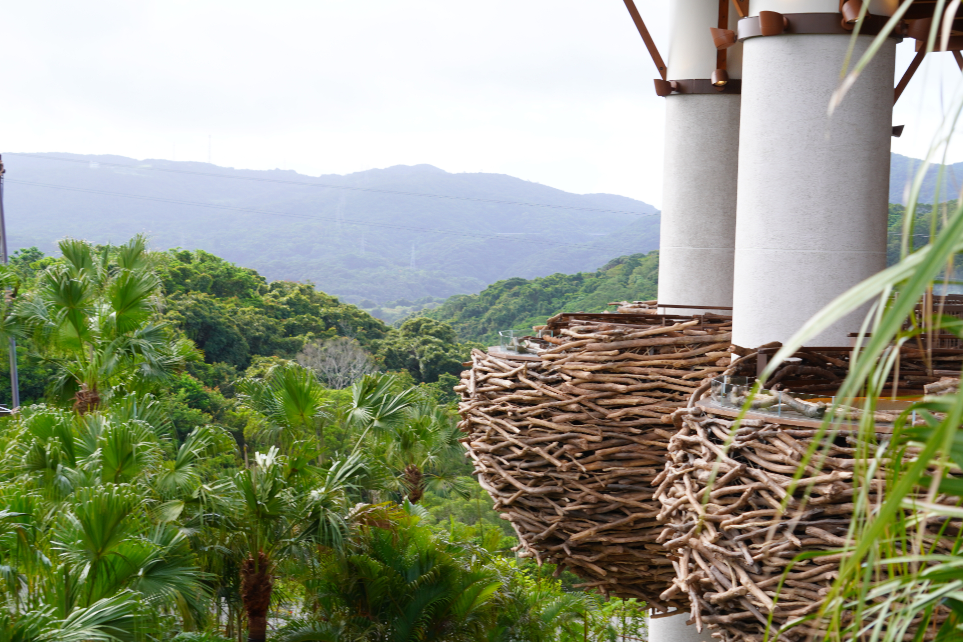 パークのメインレストラン「パノラマダイニング」では沖縄食材をふんだんに使った料理を提供。絶景を望む、まるで鳥の巣のような「ネスト席」も