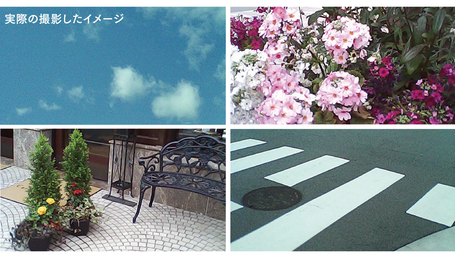 ざらつきのある写真がレトロでどこか懐かしい雰囲気