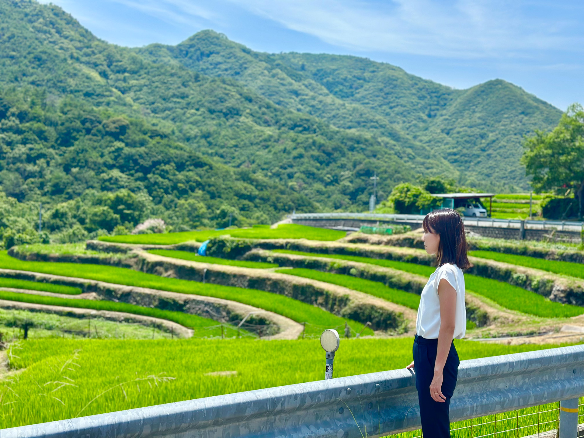 中山千枚田