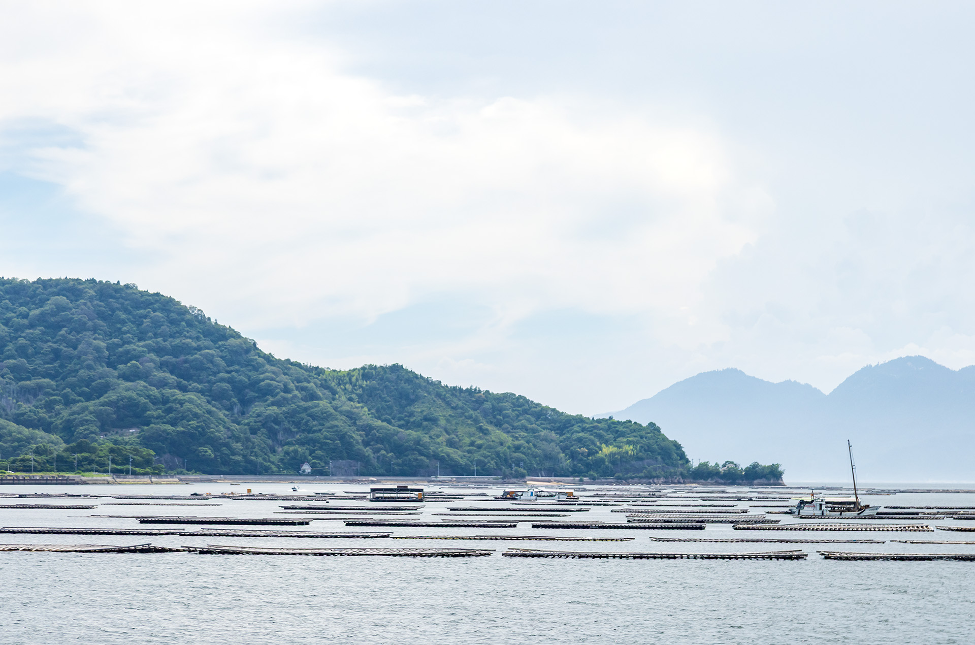 江田島周辺ではカキ養殖の筏が数多く見られる