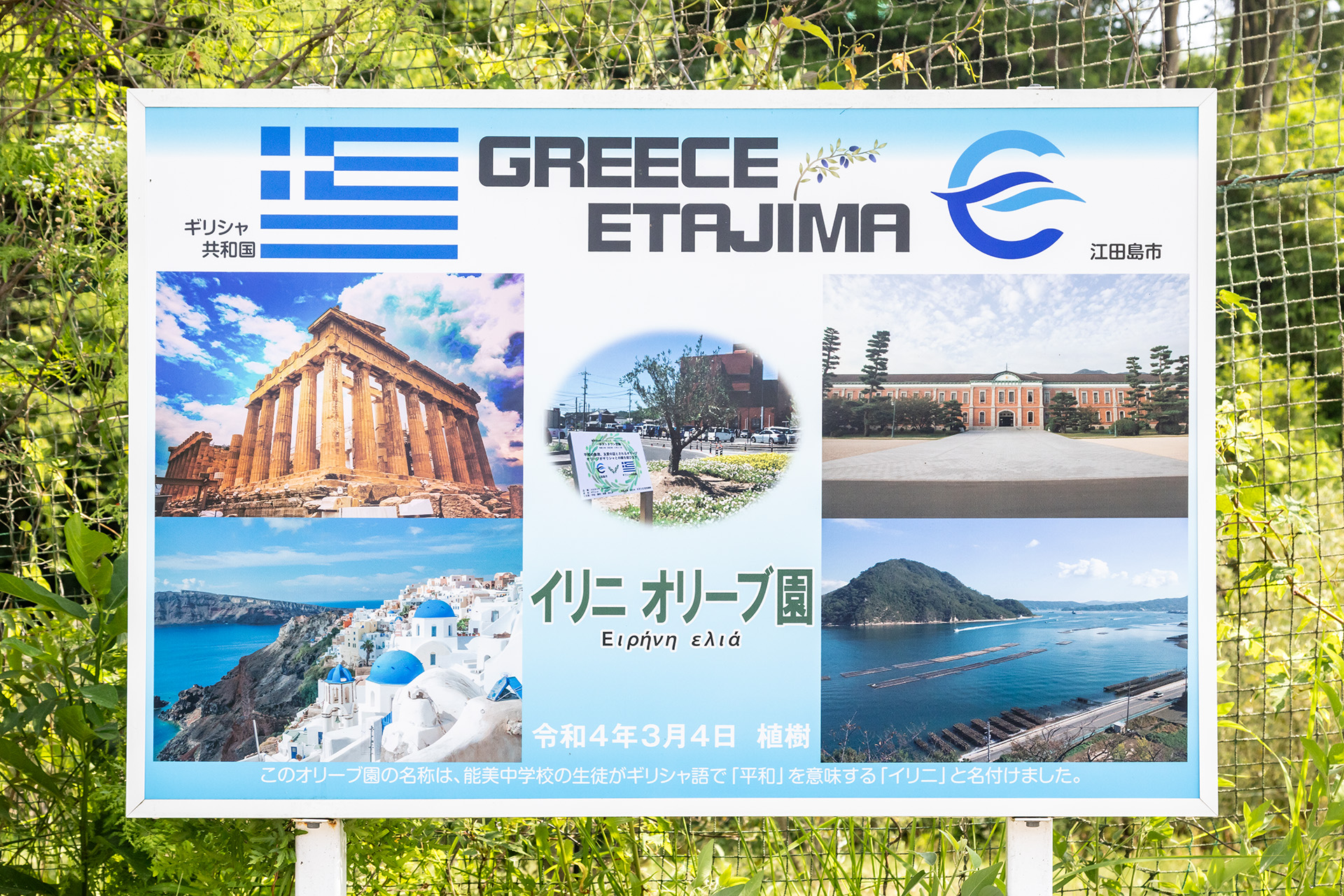 瀬戸内いとなみ舎のすぐ横にあるイリニオリーブ園