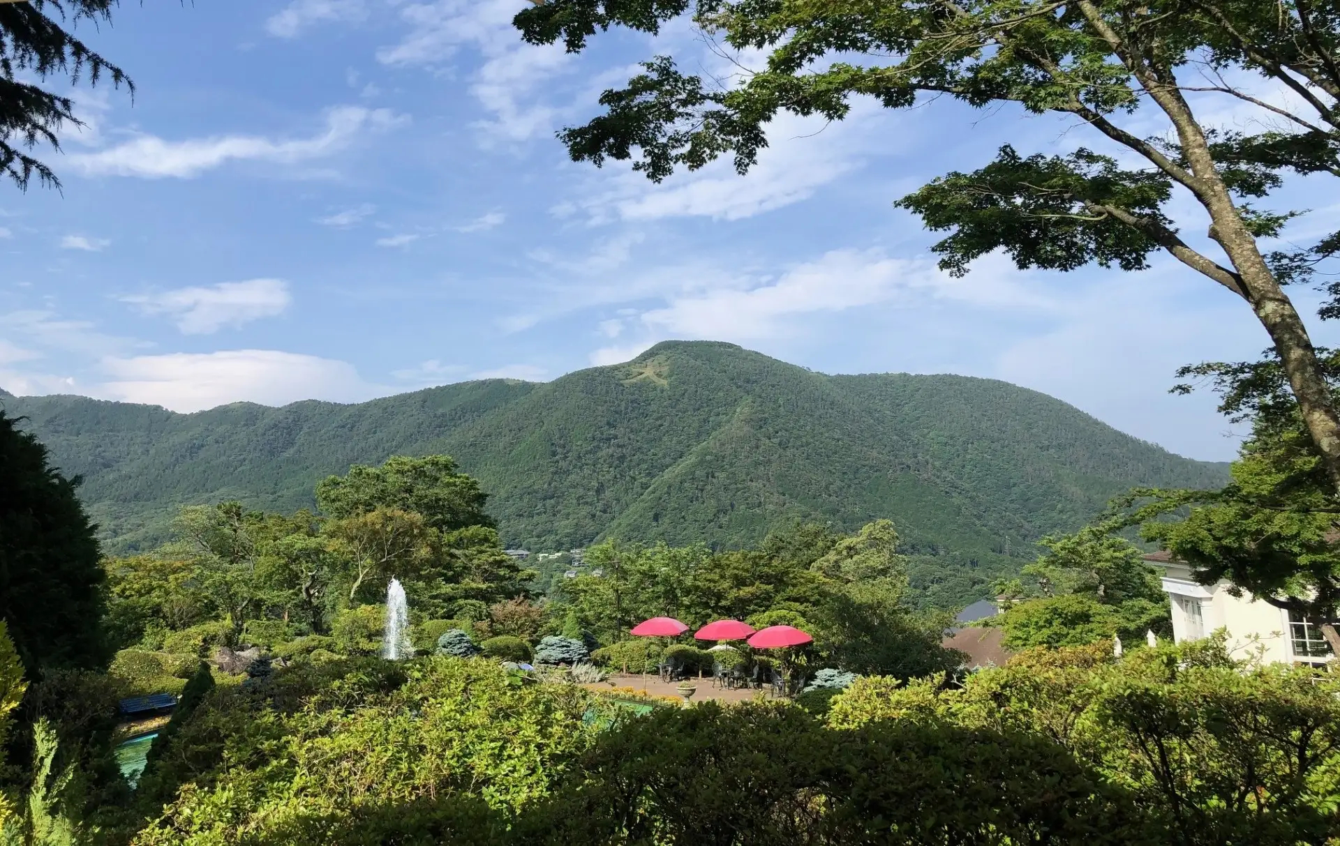 有料特別観覧席からの景色。中央上寄りに大文字が見える