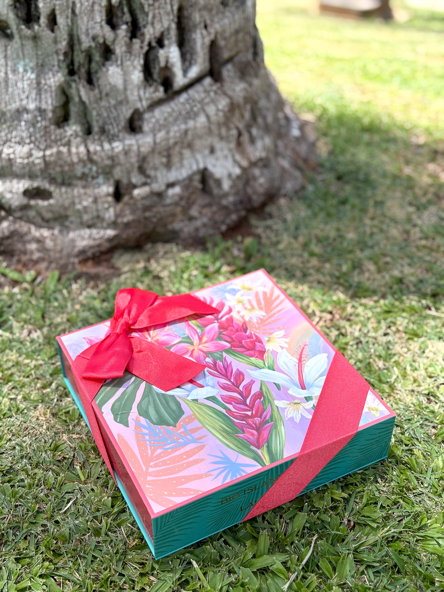 ハワイの自然にも映えるボックスは永久保存版に