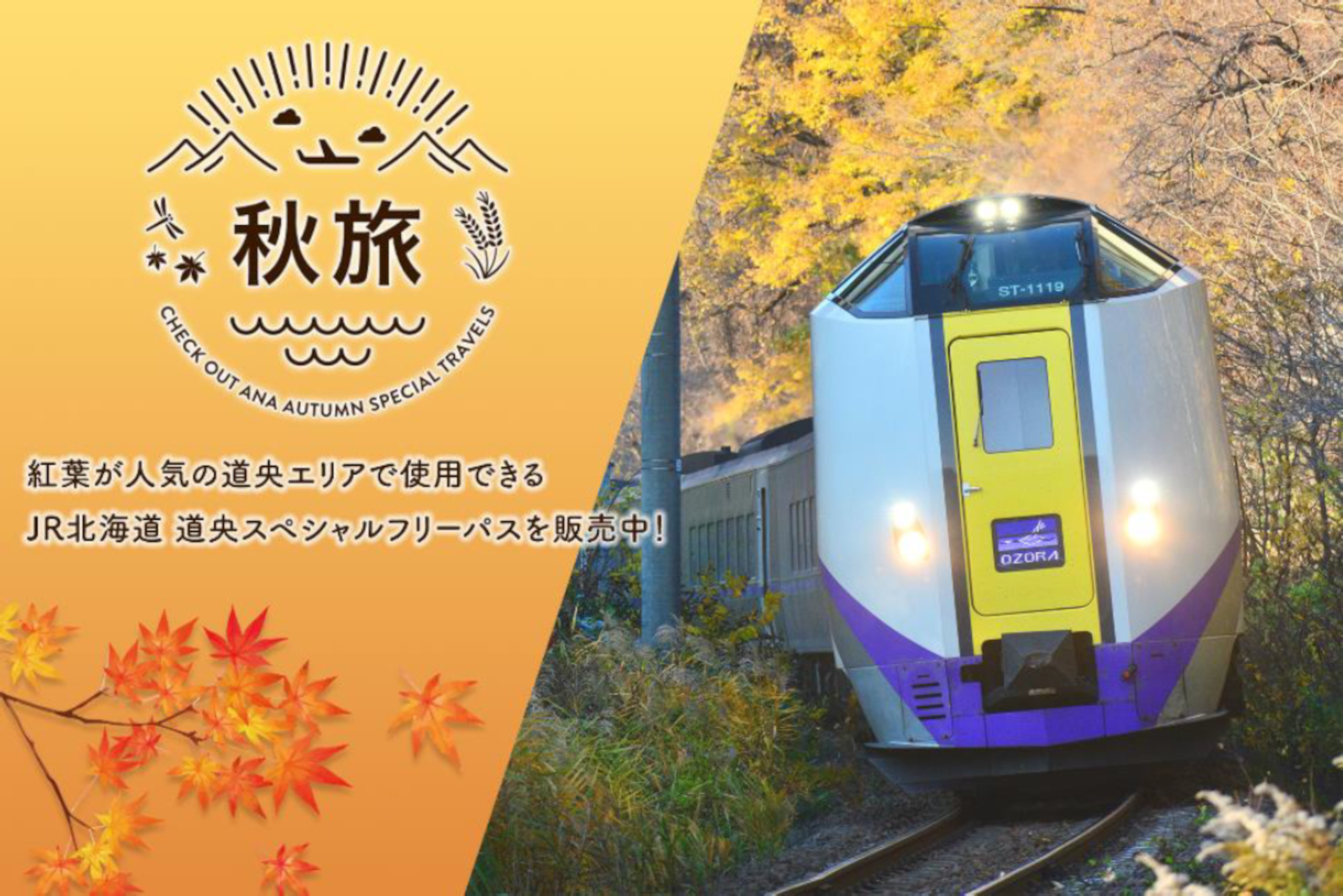 JR北海道の乗り放題きっぷ「道央フリーパス」が、ANAダイナミックパッケージセット予約で通常よりお得に