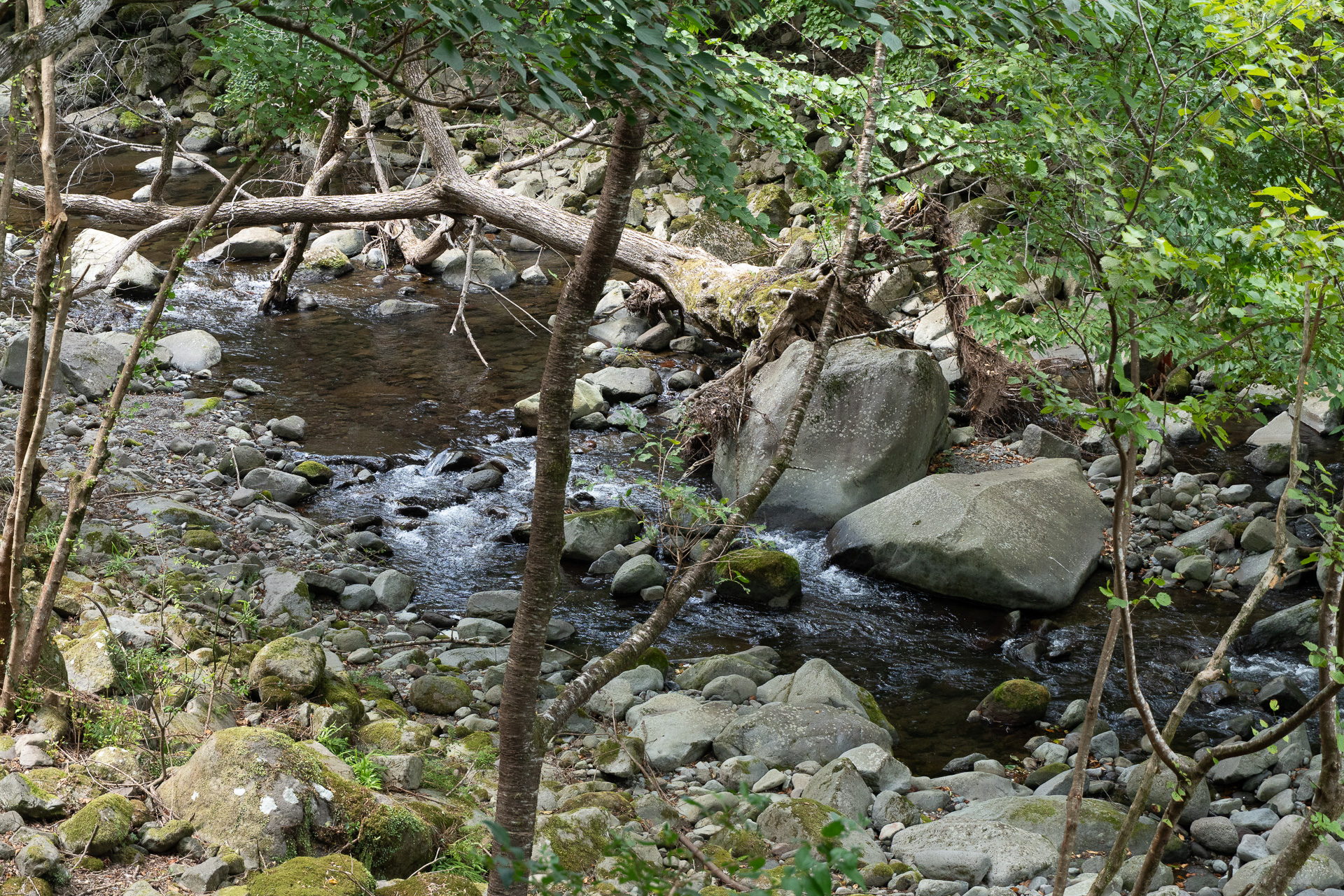高低差のある着席スペースを複数用意しており、思い思いの場所で過ごすことができる