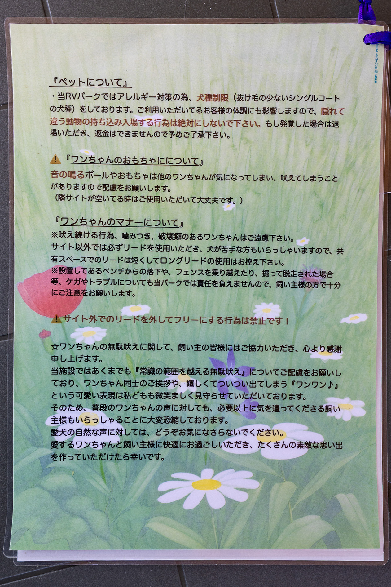 犬連れの利用を断るのでなく、犬種を限定することで犬好きな人とアレルギー体質の人の両方にとって気持ちのいい利用ができる施設。オーナーさんも犬が大好きな方でアレルギー症状が出ないトイプードルを飼っている