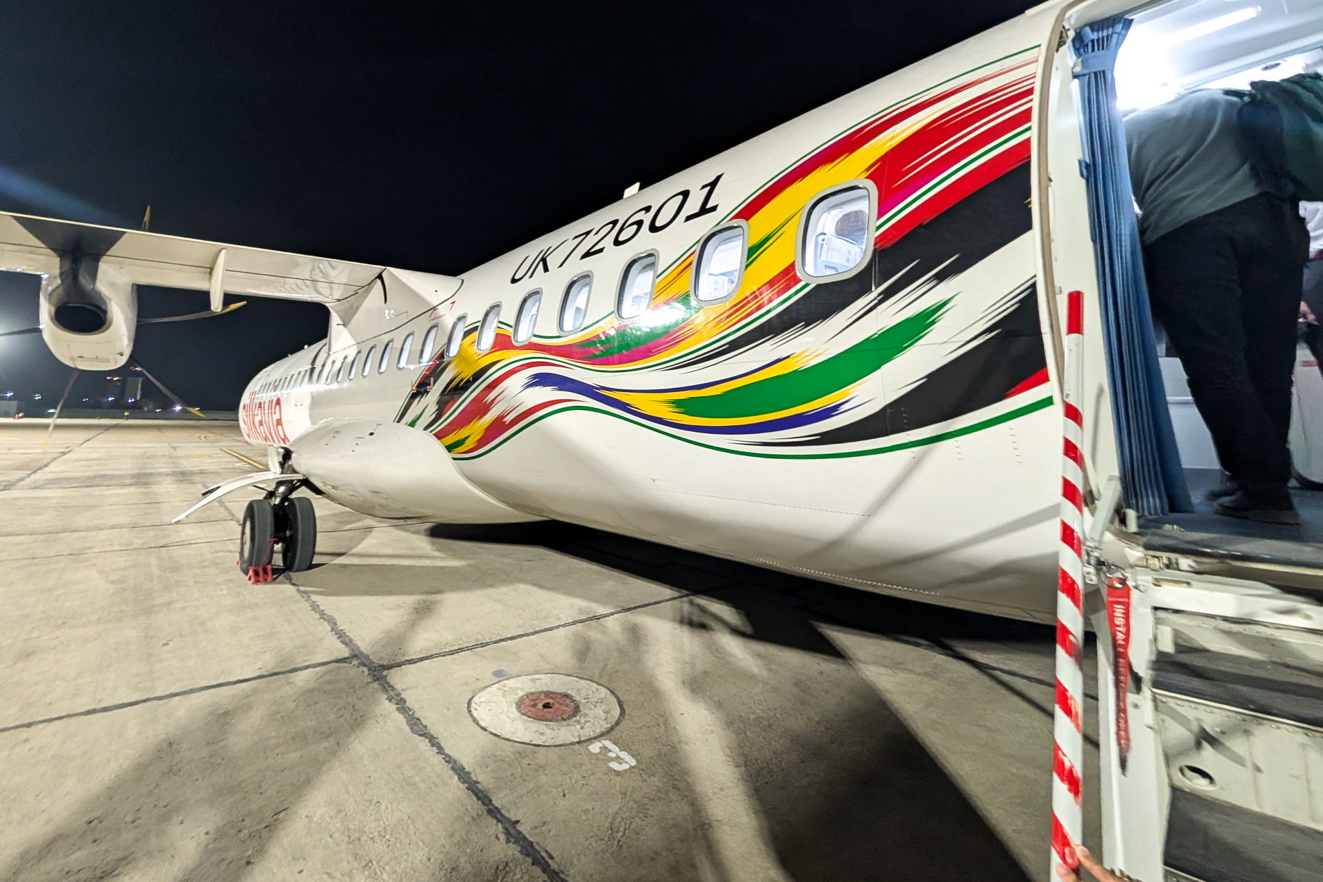 シルクのデザインは胴体にも続いている。こちらは復路での撮影。往路と同一機体