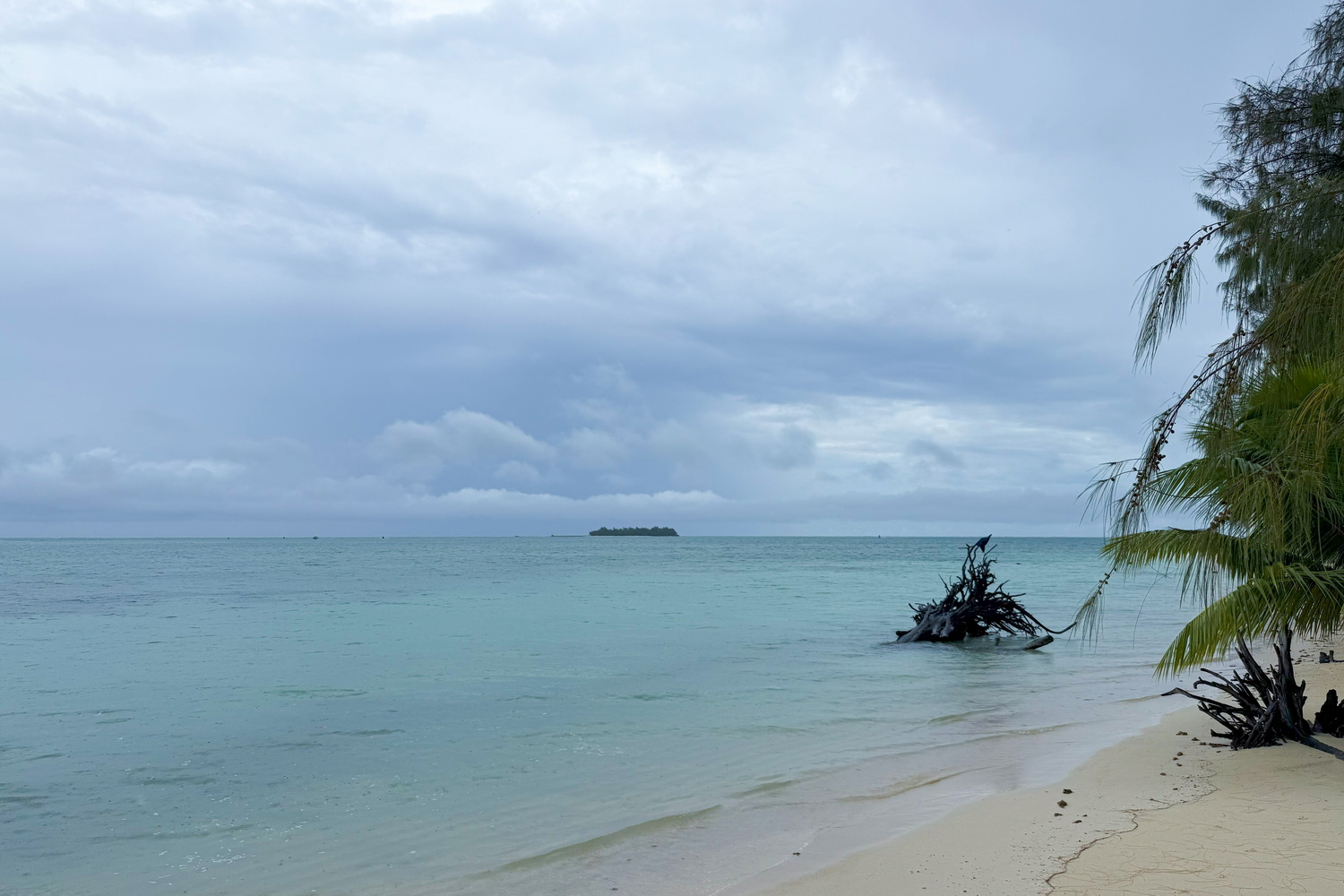 マイクロビーチから北方向の沖合いには、観光スポットの一つマニャガハ島が見える