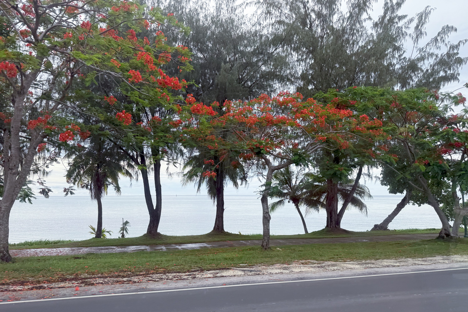 南方面行きに乗って（特に目的地もなく）延々と南に向かって乗ってみた。ビーチロードは西側に海が広がっているエリアが長いので、ドライブ気分で乗るのもちょっと楽しい。とはいえ、生活路線でもあるので途中から生活感高めのエリアにもなる