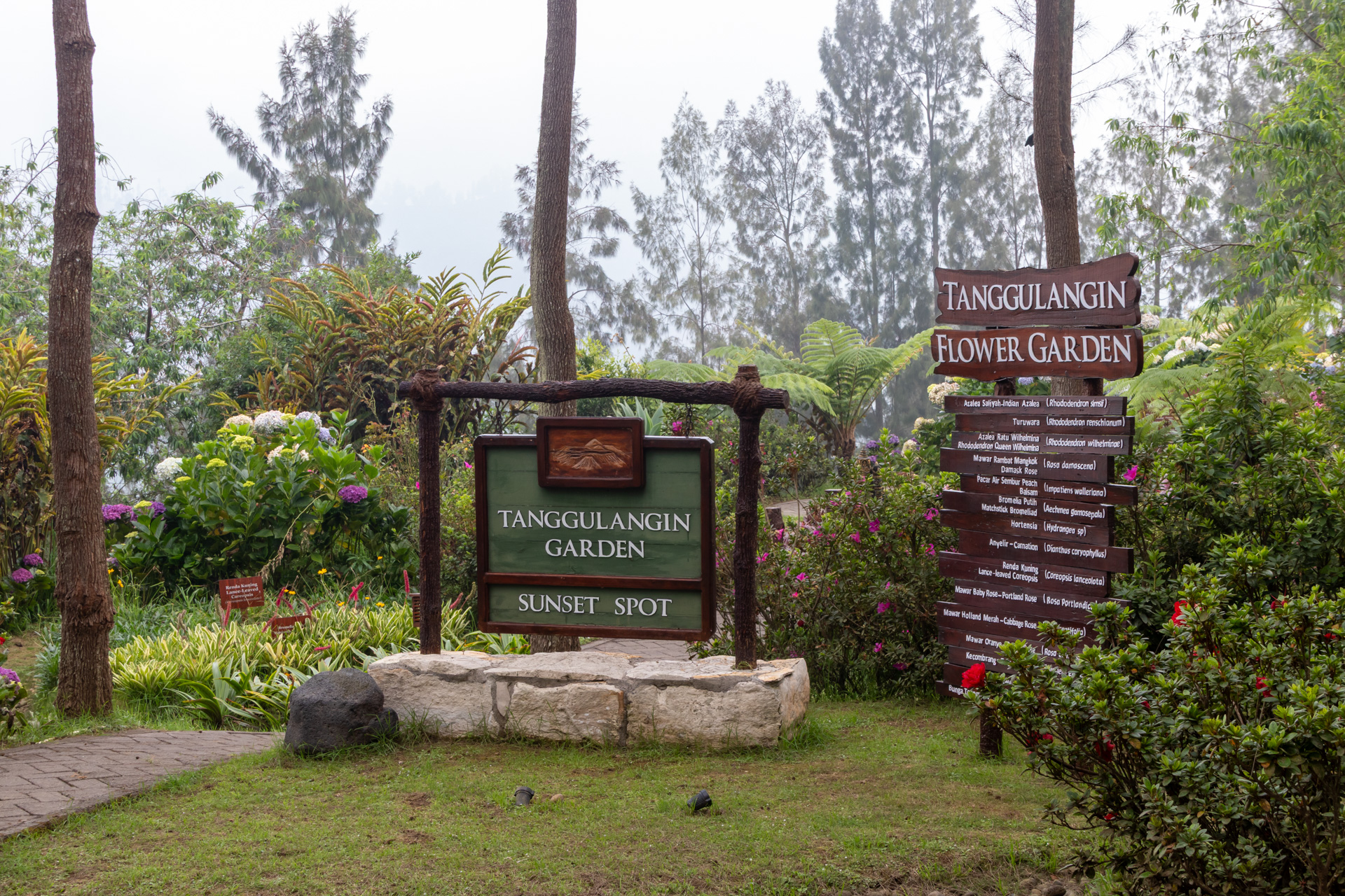 美しい屋外の植物園。一角には夕焼けスポットもある