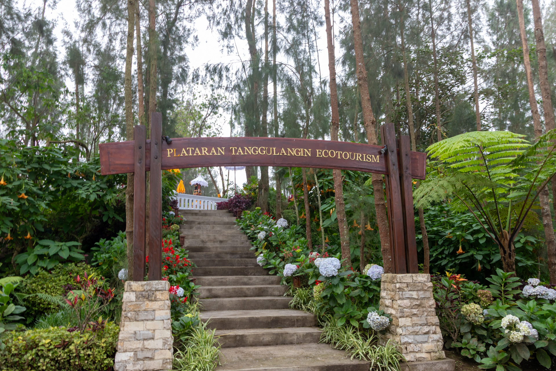 エコツーリズムが体験できるエリア