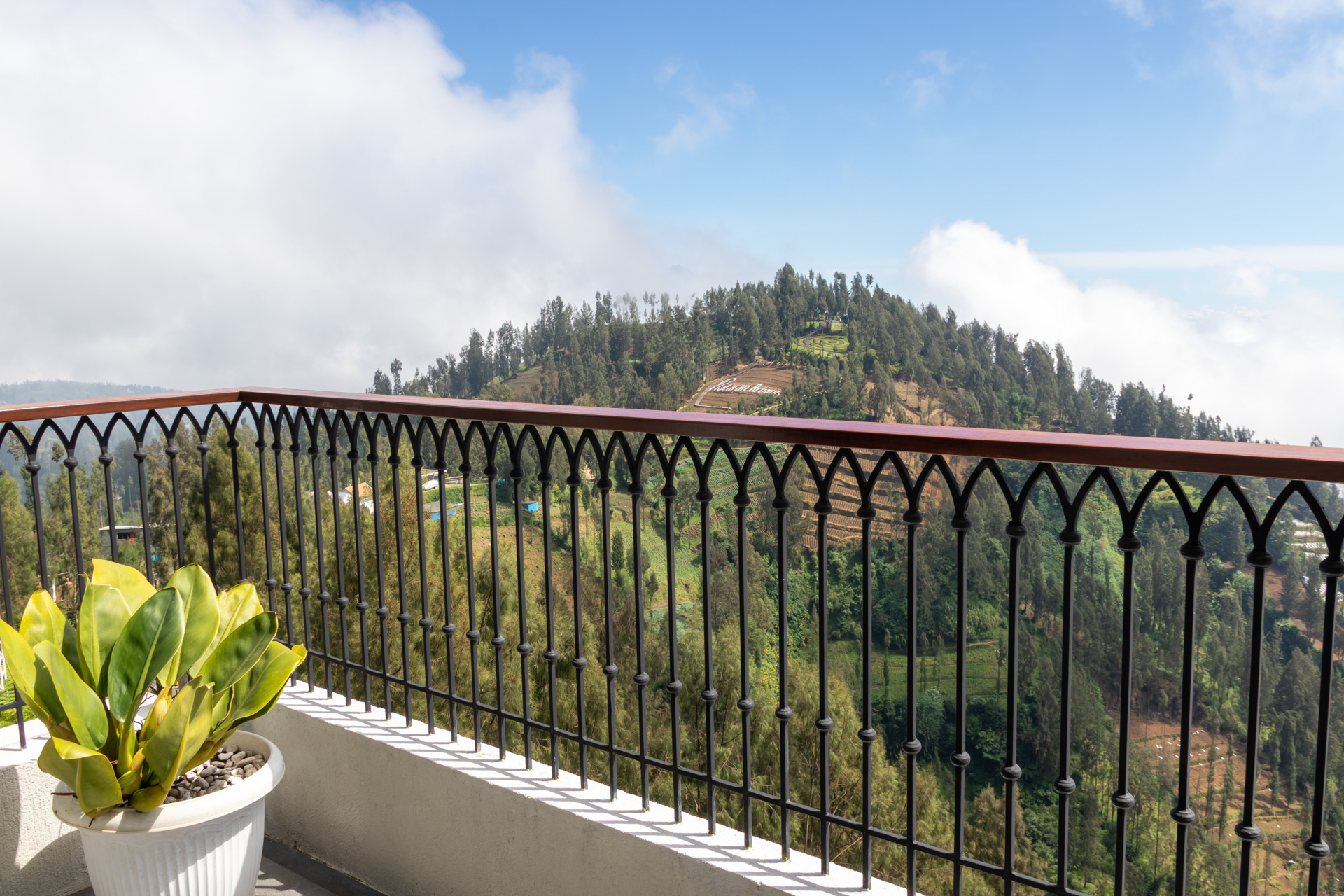 テラスからの眺めも最高！