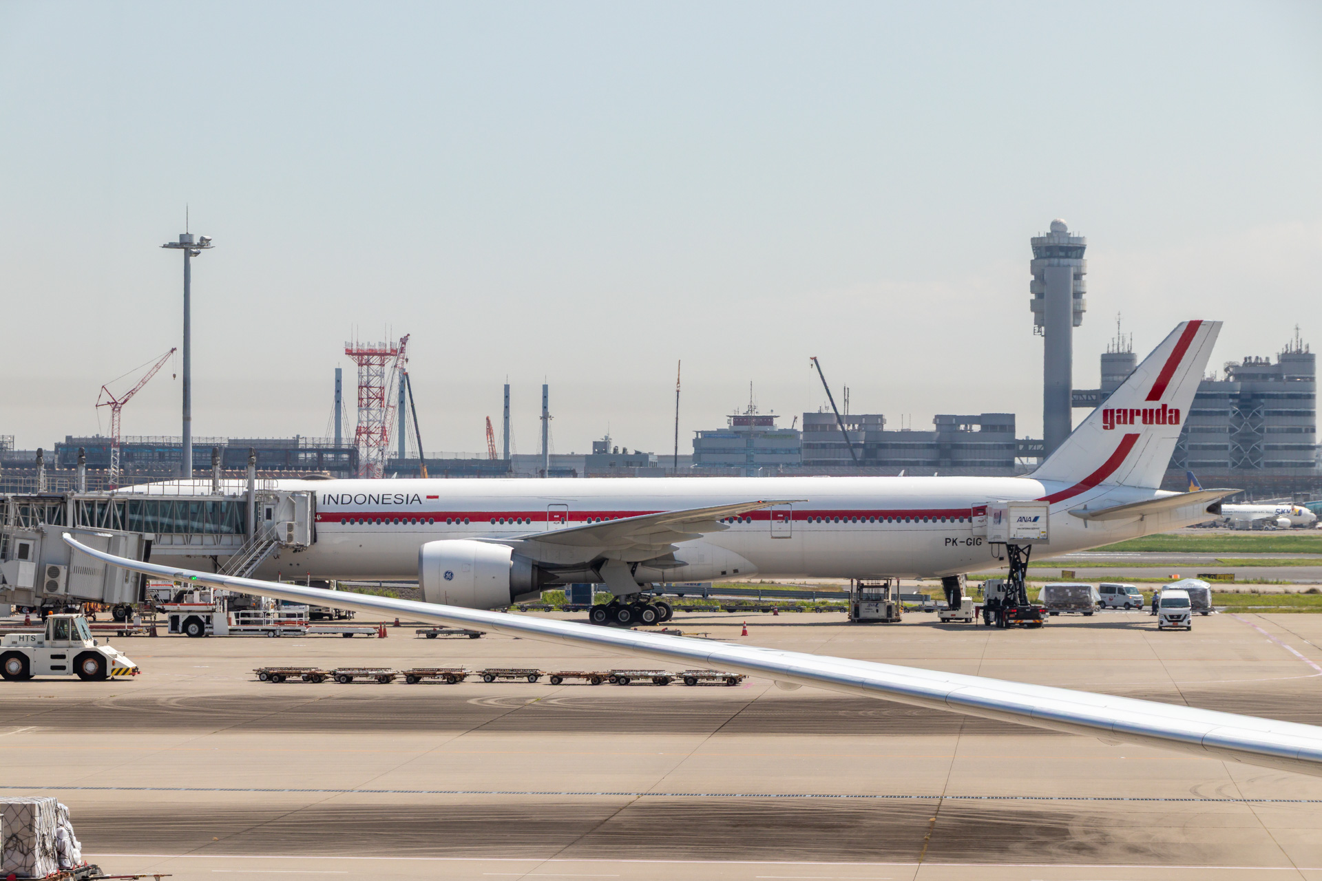 帰りも特別塗装機だったのには驚いた