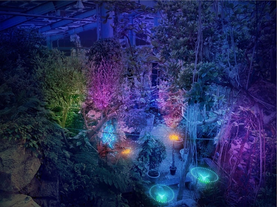 里山の四季―茨城県植物園・県民の森 31278-16-