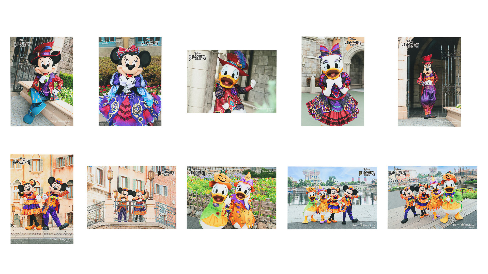 「写真セット」（3200円）