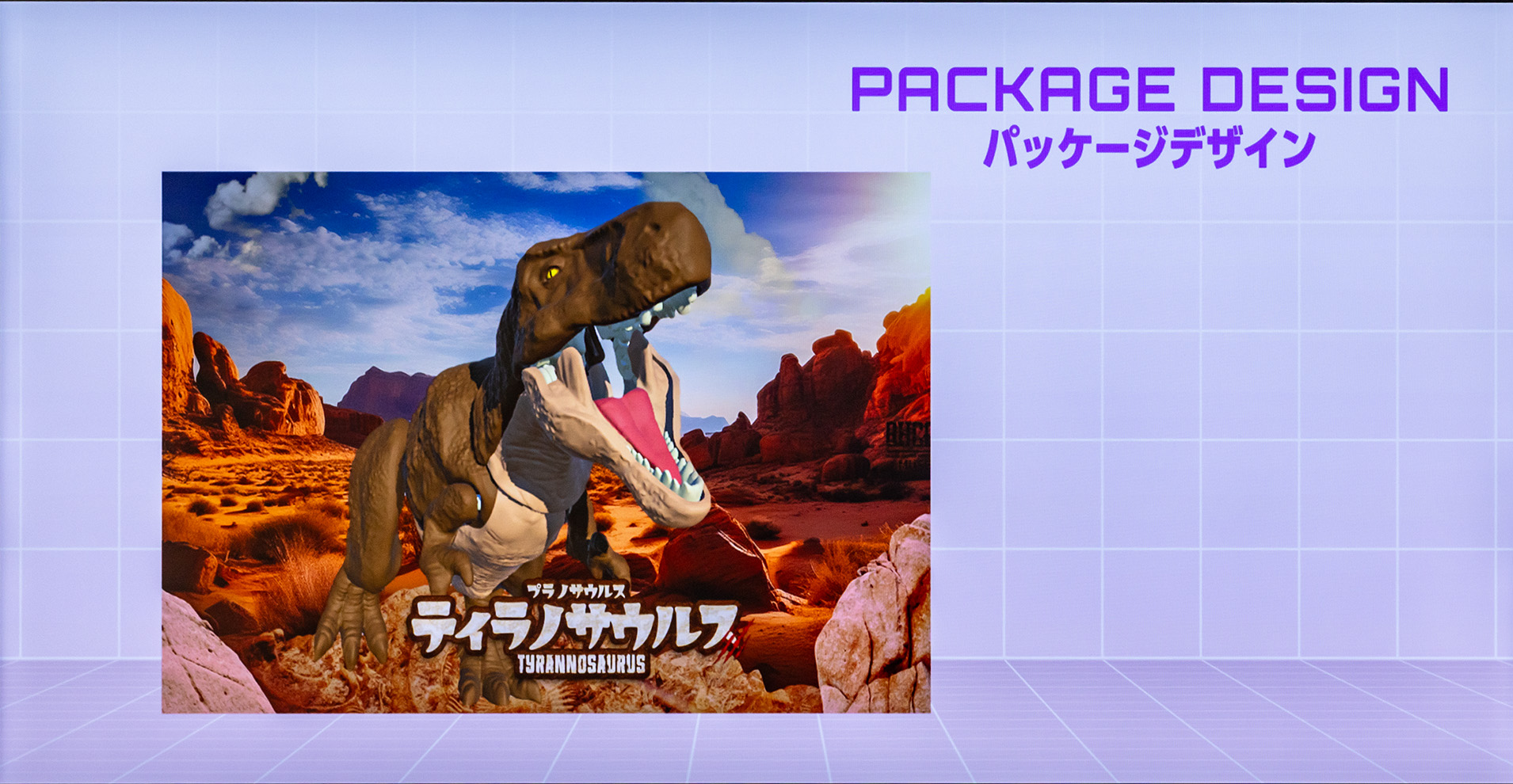 パッケージデザイン