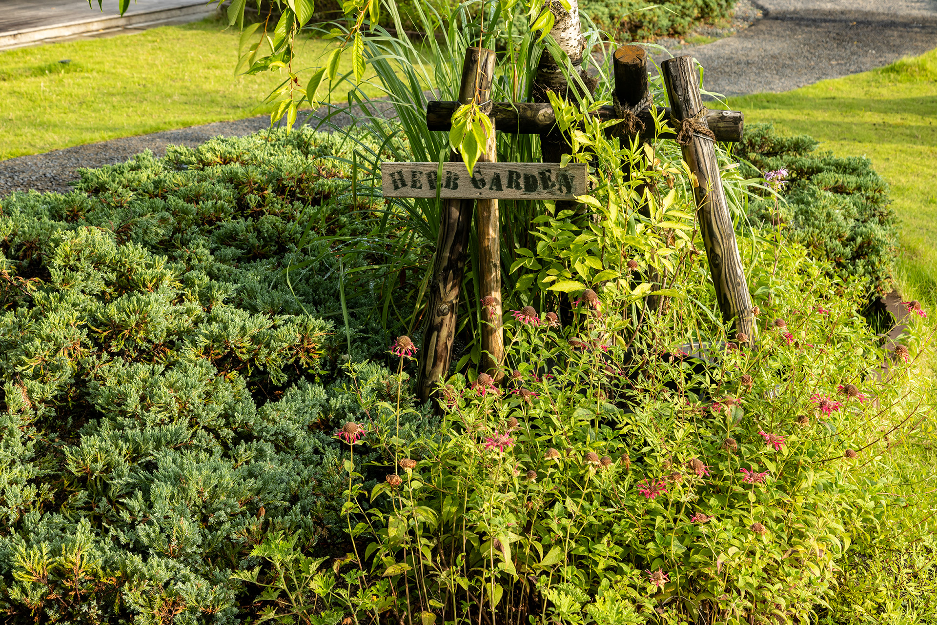 一画にハーブガーデンがある