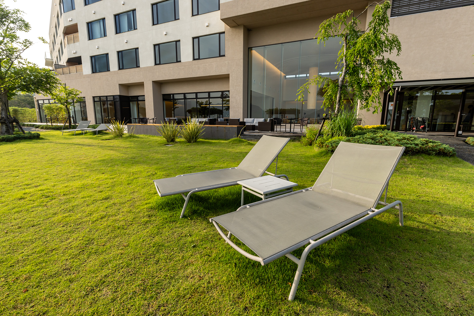 のんびり日光浴ができるサンベッド